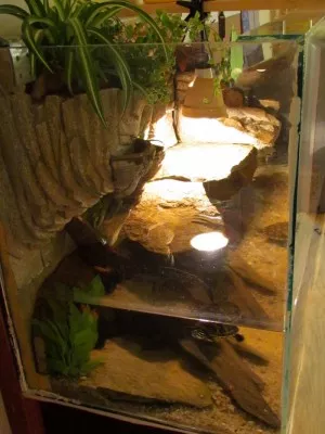 akvárium z boku