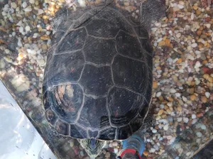 Fotka k příspěvku