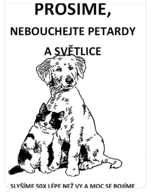 Fotka k příspěvku