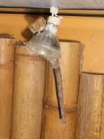 Nejroztomilejší mazlík