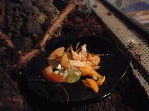 Carlova večeře - strouhaná mrkev, kreveta, mouční červi, hroznové víno a sepiová kost