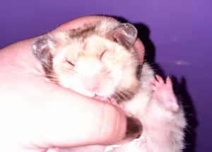 Bertík mi spinkal v ruce ❤ Bertík mi spinkal v ruce ❤