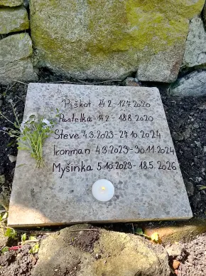 Náhled