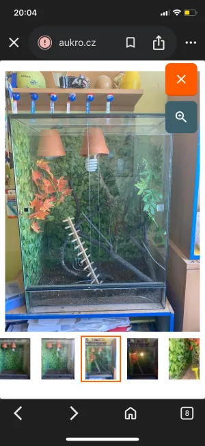 Terárium v den koupě.