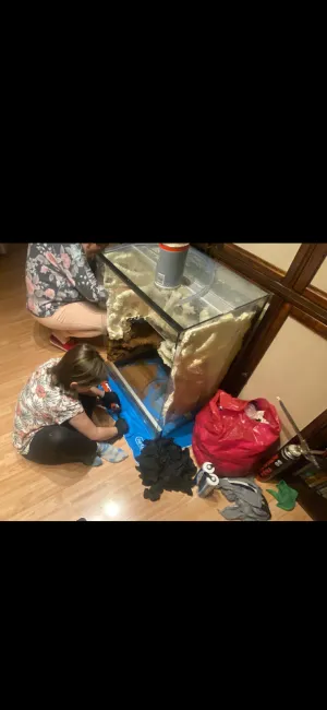 A začala výroba pozadí.